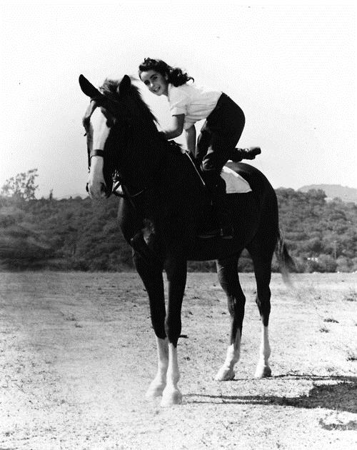 National Velvet - Horse Film